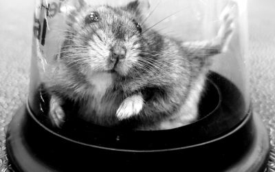 Premio mejor Fotografía 2023