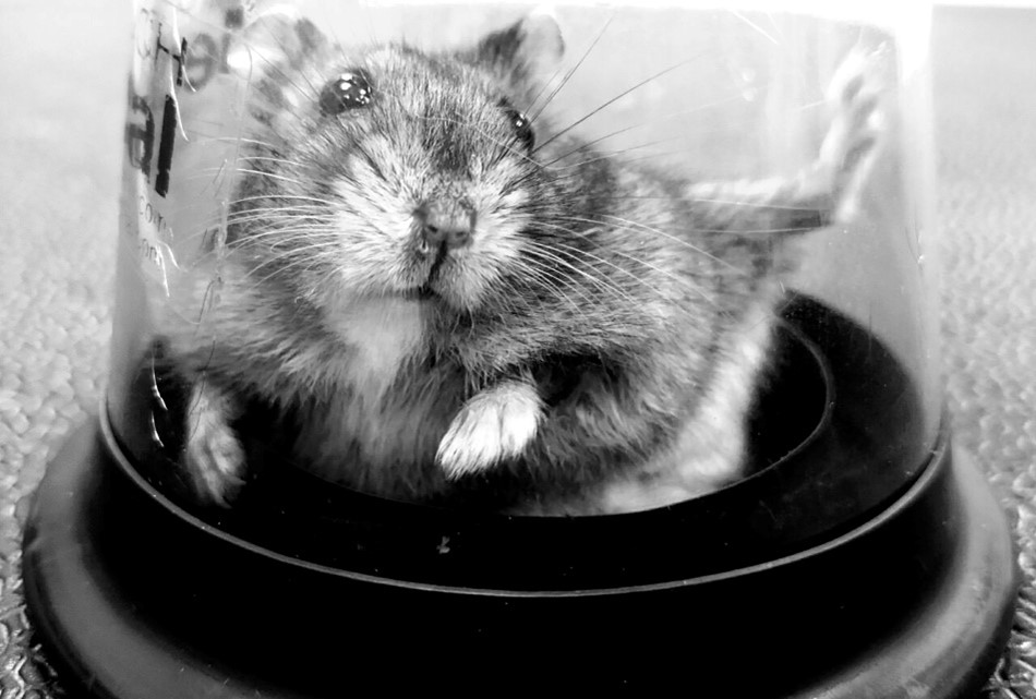 Premio mejor Fotografía 2023