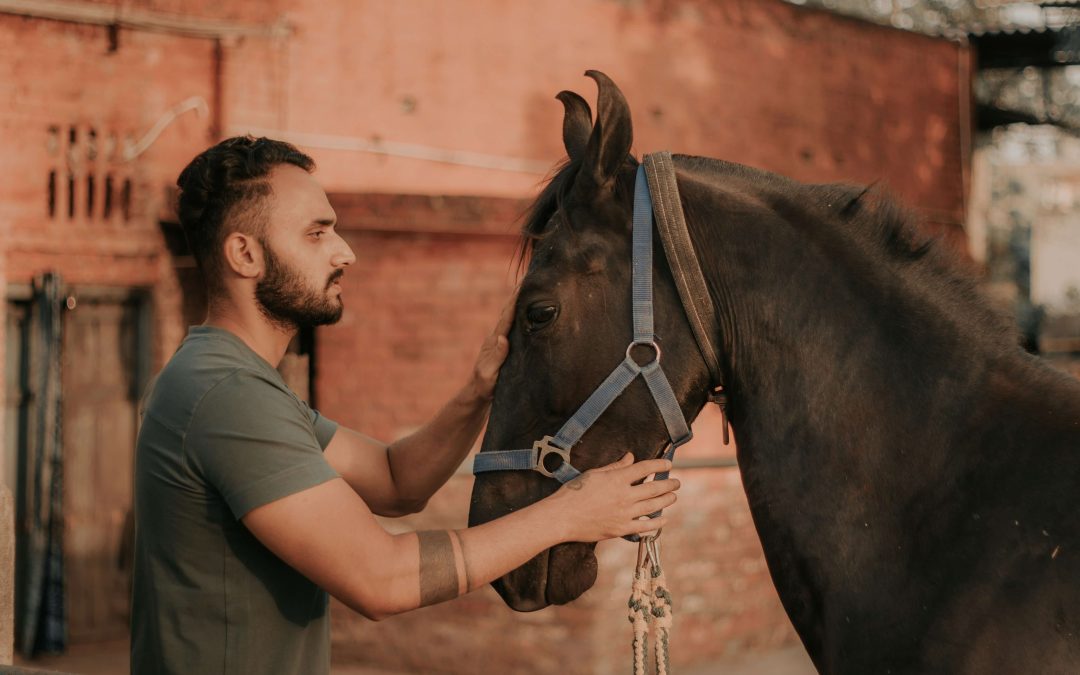 Premio Mejor Posters 2023