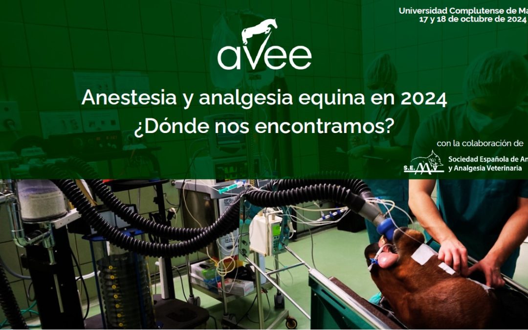 Curso otoño AVEE