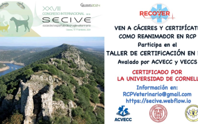 XXVIII Congreso Internacional SECIVE