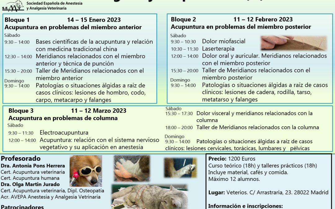 Curso de Analgesia y Acupuntura en pequeños animales