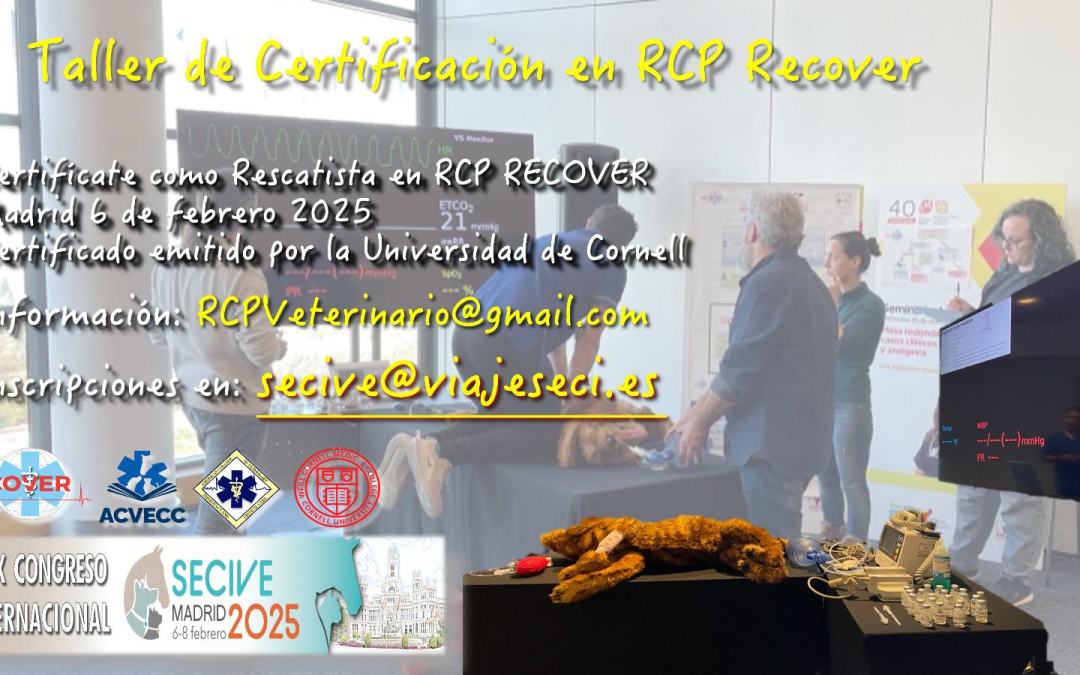 Taller de certificación en RCP Recover