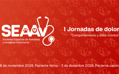 I Jornadas de dolor de la SEAAV “Comportamiento y dolor crónico”